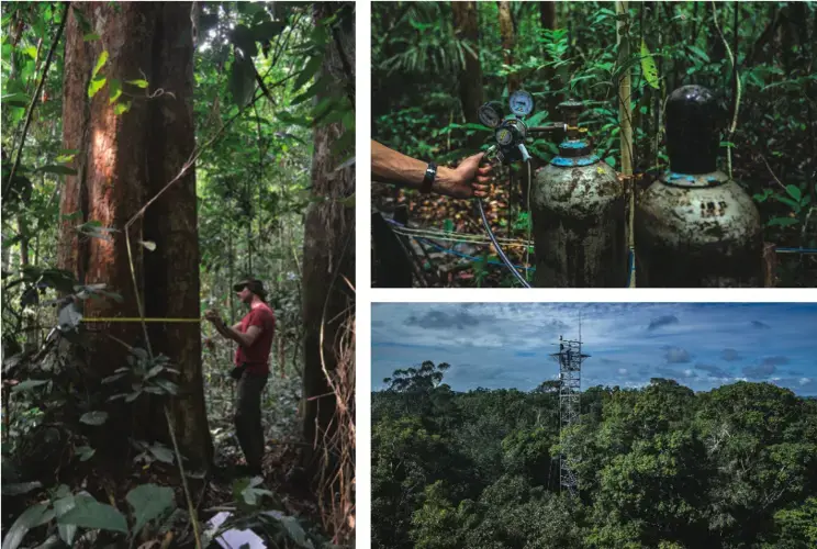 Above, left: measuring tree trunks in the Congo basin. Image by Daniel Grossman. Democratic Republic of the Congo, 2017. Above right: An experiment in the Amazon in which air rich in carbon dioxide is pumped into chambers to see how plants react as concentrations of the greenhouse gas rise. Image by Dado Galdieri. Brazil, 2019.