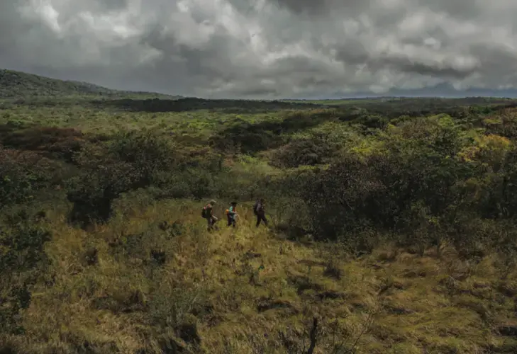 Researchers crossing a windy shoulder of Rincón de la Vieja, where they might learn how tropical forests will respond to higher levels of carbon dioxide. Image by Dado Galdieri. Costa Rica, 2020.