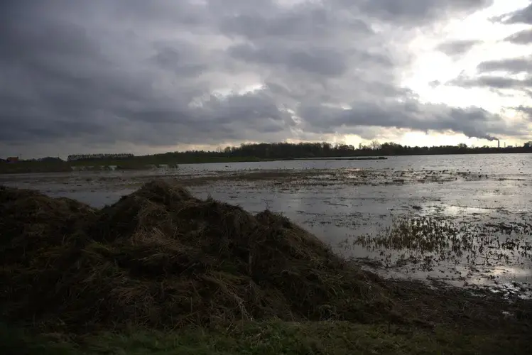 Former farm fields revert back to nature in the Noordwaard flood plain in South Holland. Image by Chris Granger / Times-Picayune / The Advocate. Netherlands, undated.<br />

