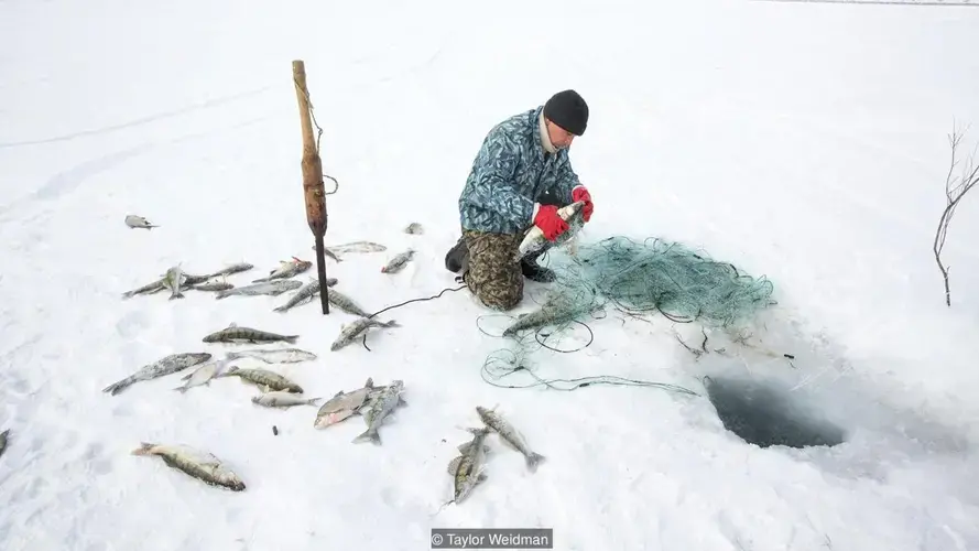 Fishing has returned year-round to the Kazakh side of the Aral Sea, but locals still need to drive 20km to reach the water once on their doorstep. Image by Taylor Weidman. Kazakhstan, 2018. 