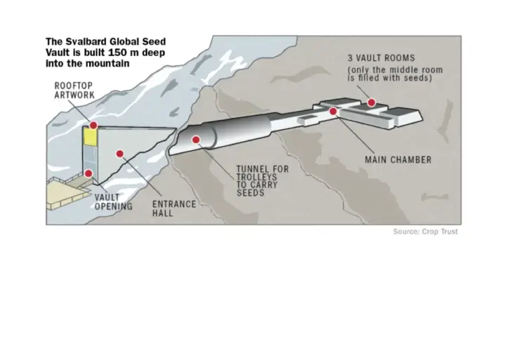 Image courtesy of Crop Trust.