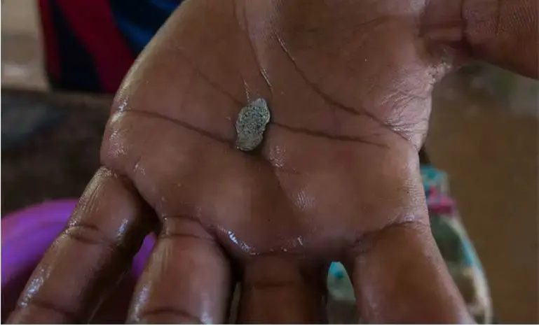 An amalgam formed with toxic mercury and gold. The amalgam is heated with a gas burner so the mercury vaporizes; in this way the gold is separated from waste. The process, often carried out without proper protection by small-scale miners, can lead easily to mercury poisoning, ultimately deadly. Image by Bram Ebus. Venezuela, 2017.<br />