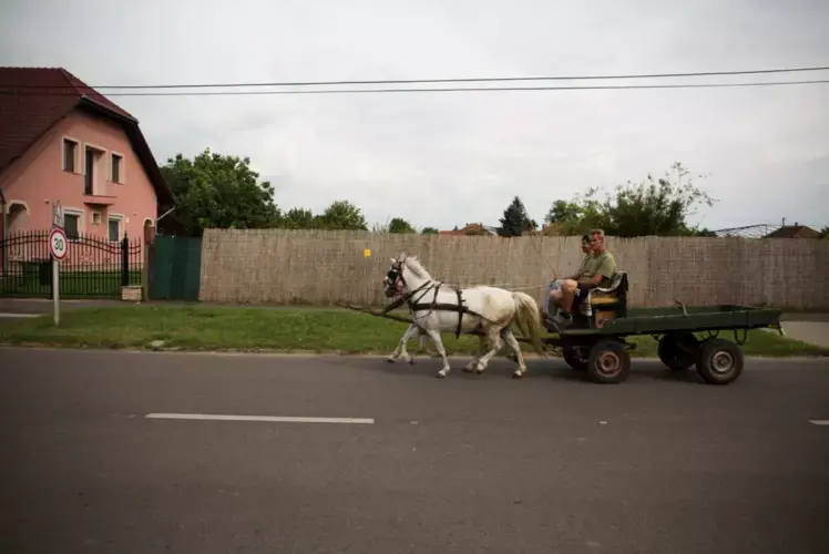 A scene in Röszke. Image by Zack Beauchamp for Vox. Hungary, 2018.
