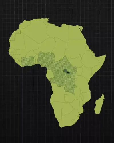 The dark green area is where the only major population of Afrormosia remains. The shaded area is where it was found as of 1950. (The black dot is the Yangambi Biosphere Reserve in Congo, where we visited Afrormosia.) Image by Amanda Northrop / Vox.