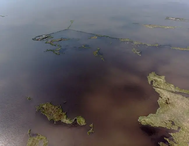 Algae, fueled by fertilizer runoff from farms into the Mississippi, grows off the coast of Louisiana and Texas, sucking up oxygen, threatening the extinction of many species of sea life. Image by Spike Johnson. United States, 2019.&nbsp;