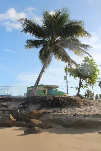 Extreme beach erosion at Parcelas Suárez. Image by Kari Lydersen. Puerto Rico, 2019.