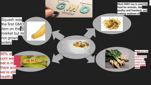 Graphic designed by Chicago high school students reflects key statistics about GMOs that defend their response to the question, "can a healthy diet include GMOs?"