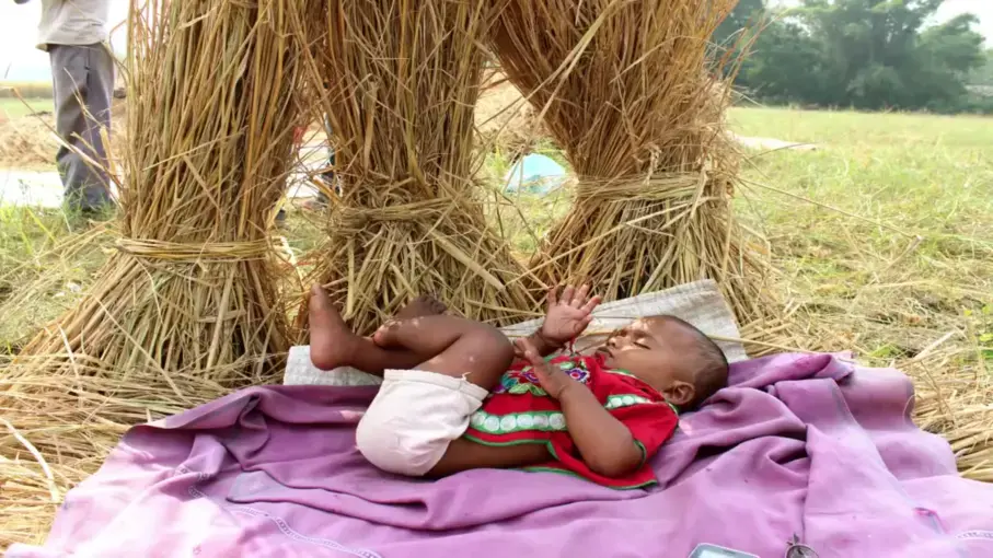Still image courtesy Roger Thurow. India, 2015.