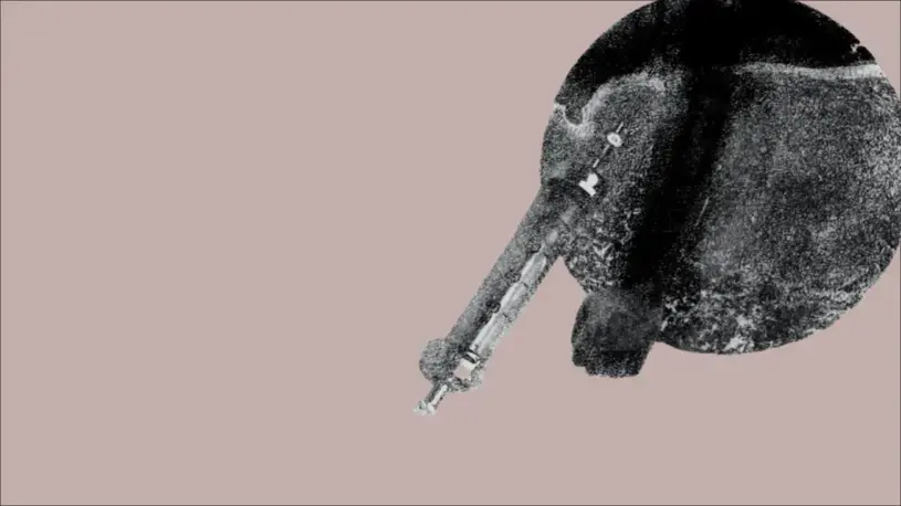 artwork from The 1619 Project