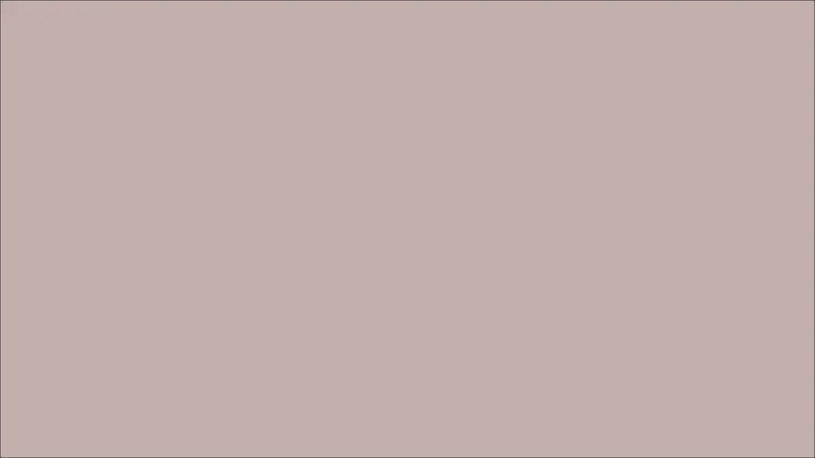 Lavender blank background