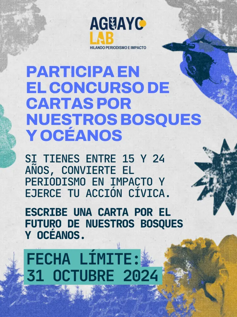 concurso cartas 2024