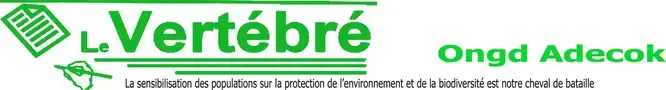 Publication logo