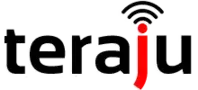 Publication logo
