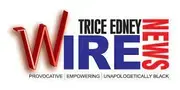 Publication logo