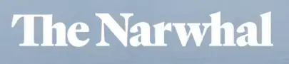 The narwhal