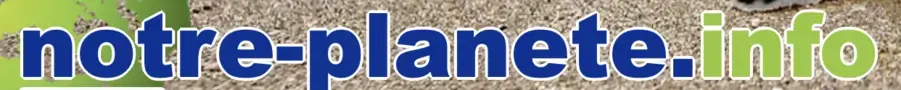 Publication logo