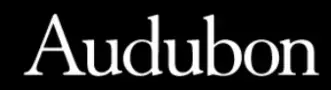 Audubon