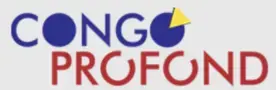 Publication logo