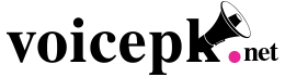 Voicepk.net logo