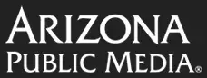 Publication logo