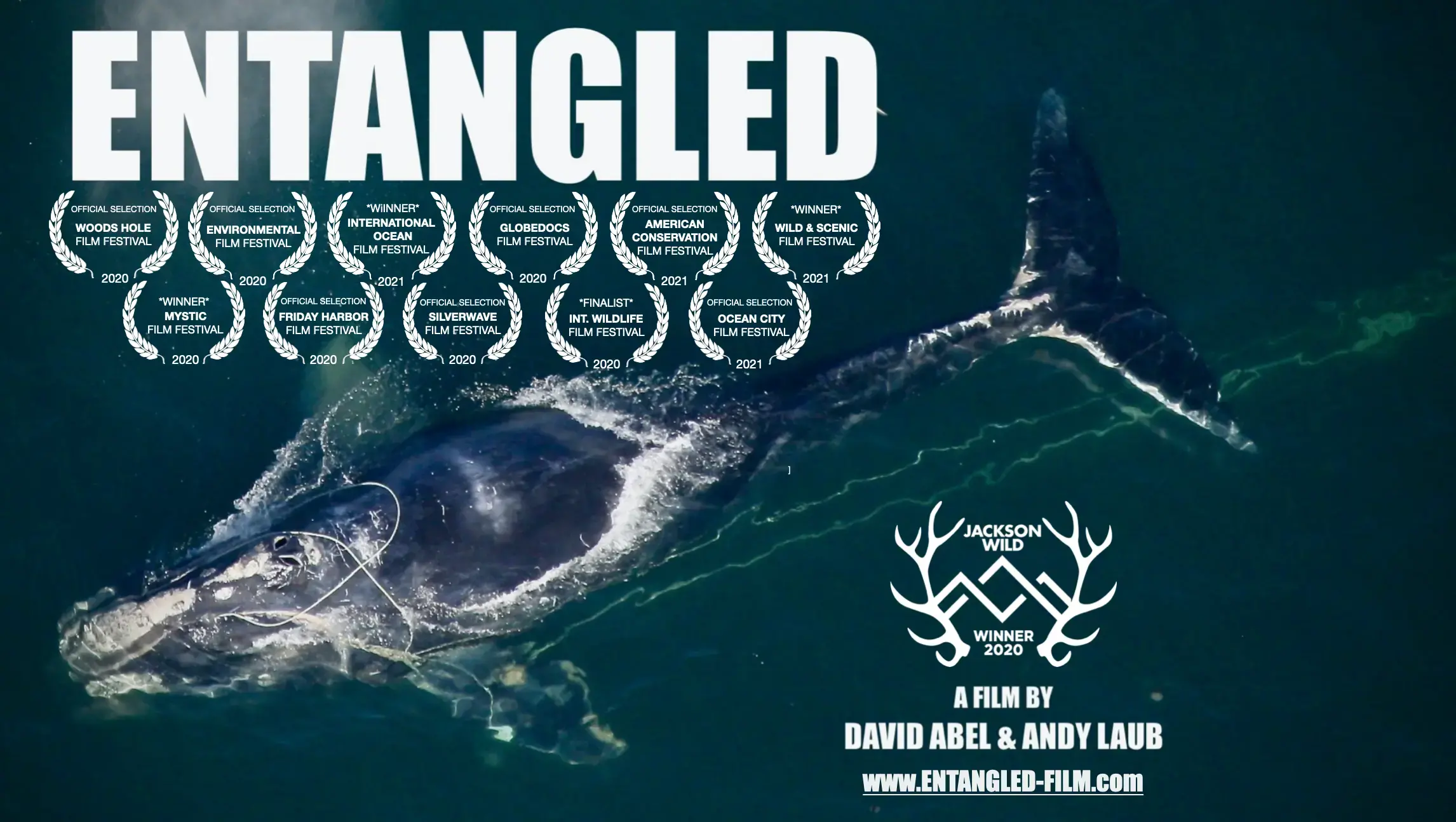 Entangled film by David Abel and Andy Laub
