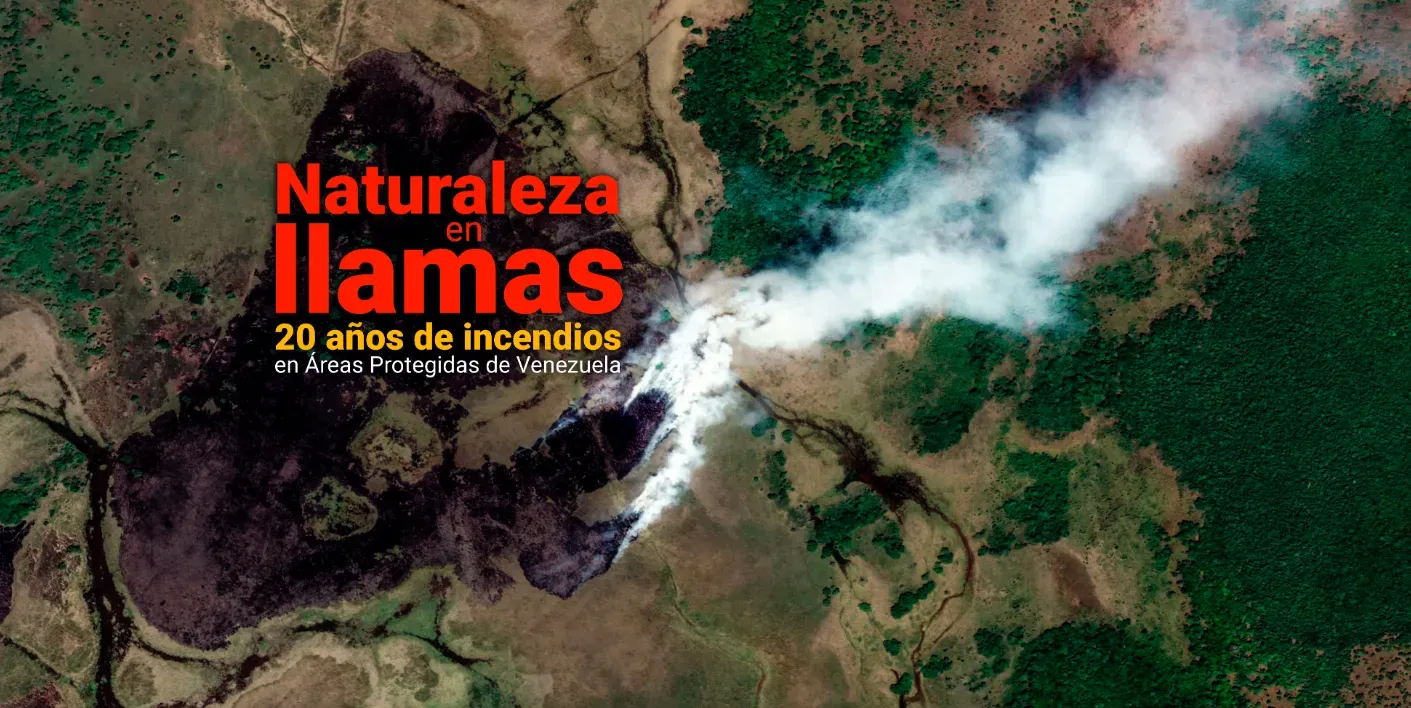 Naturaleza en llamas: 20 años de incendios en Áreas Protegidas de Venezuela