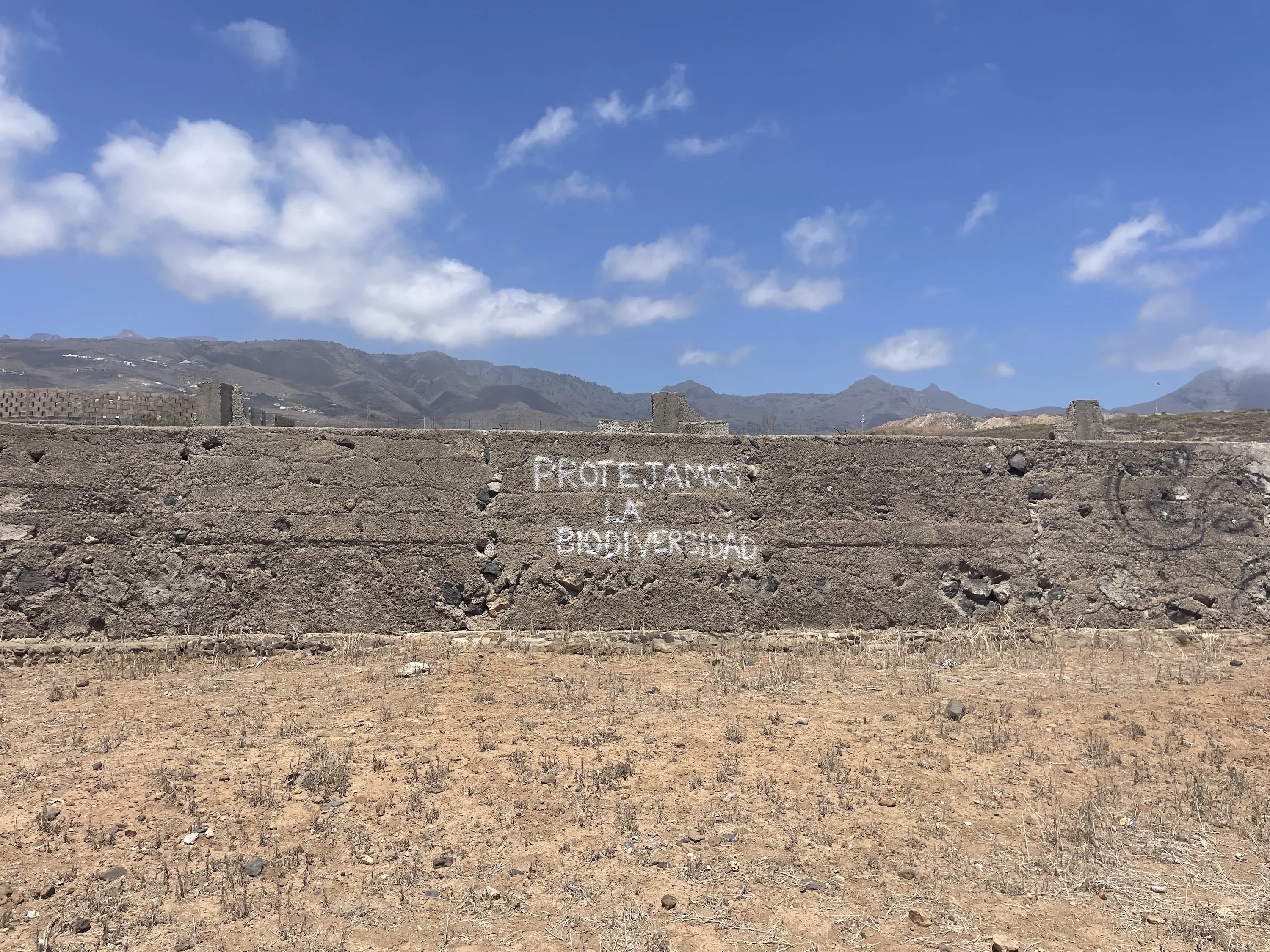 Vandalism near the Cuna del Alma construction site in Adeje, Tenerife reads "We protect biodiversity." Image by Brigid McCarthy. Spain, 2024.&nbsp;