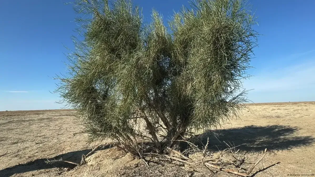 The Aralkum Desert stretches for miles and miles between Kazakhstan and Uzbekistan