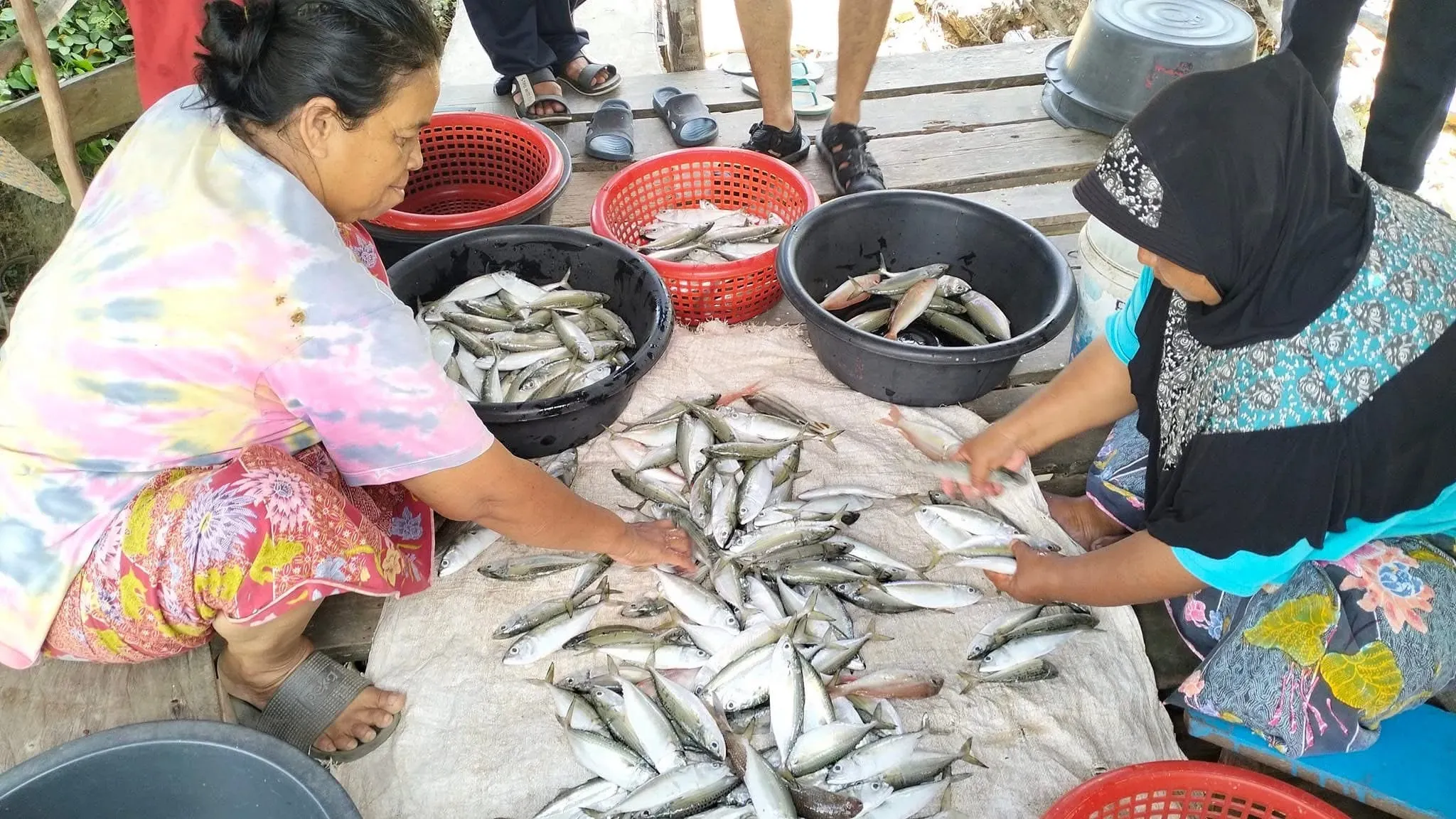 Villagers sort through the day’s catch of Thai mackerel—once larger and more plentiful, now noticeably smaller with each passing year (left). Artists invited locals to share their thoughts on the marine ecosystem, turning blank canvases into community stories for the exhibition (right). Images by Jon Tangpaiboon, Songkla, Thailand, 2024. 
