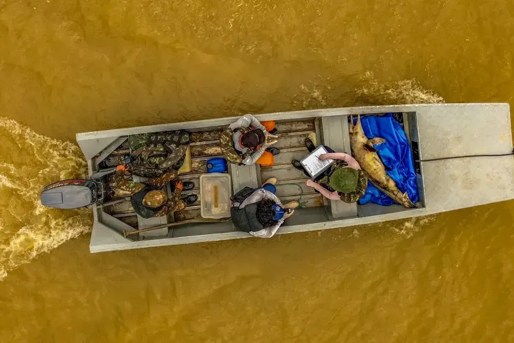 Boat drives through muddy water