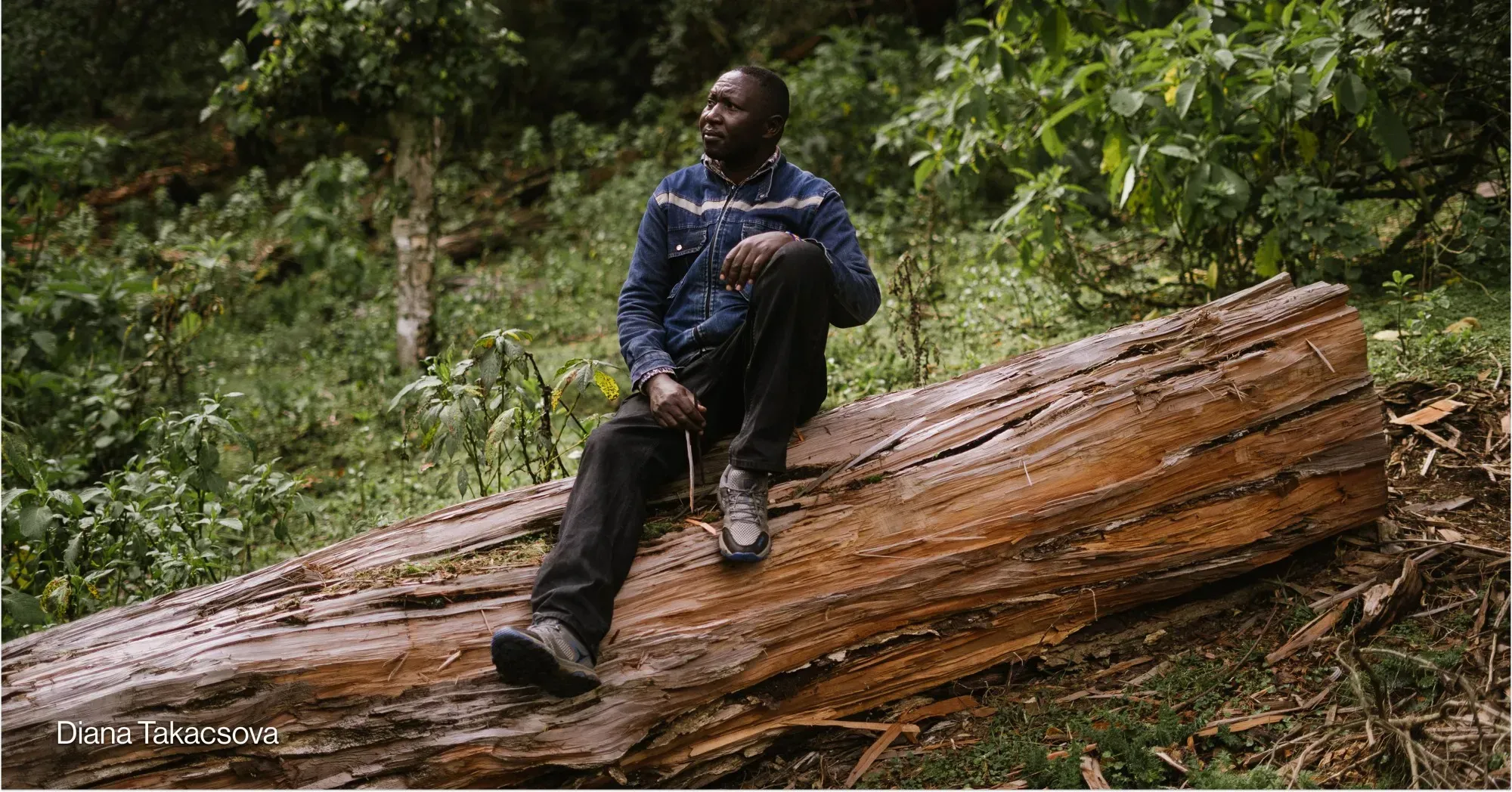 Sengwer human rights defender Elias Kimaiyo sits on a log in the forest