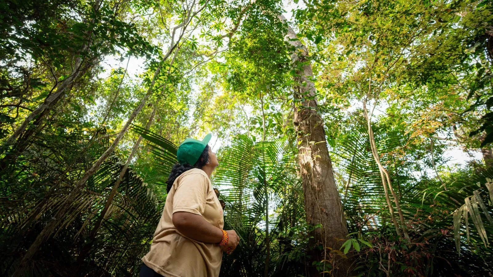 Lydiane Bastos, a forest engineer and researcher at the National Institute for Amazonian Research (INPA), looks up at the tree canopy in the Amazon rainforest