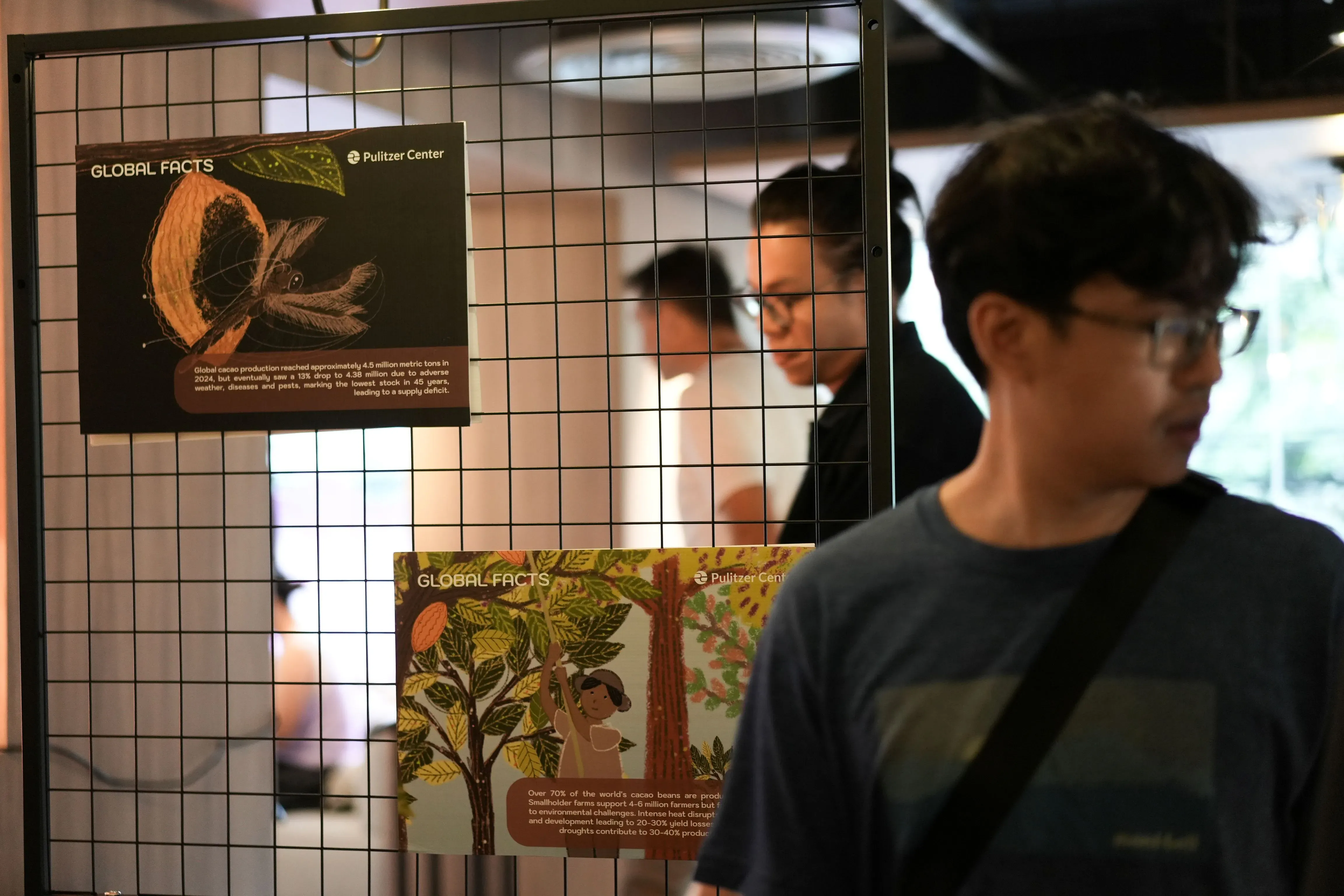 Plaques display illustrations and facts about cocoa cultivation