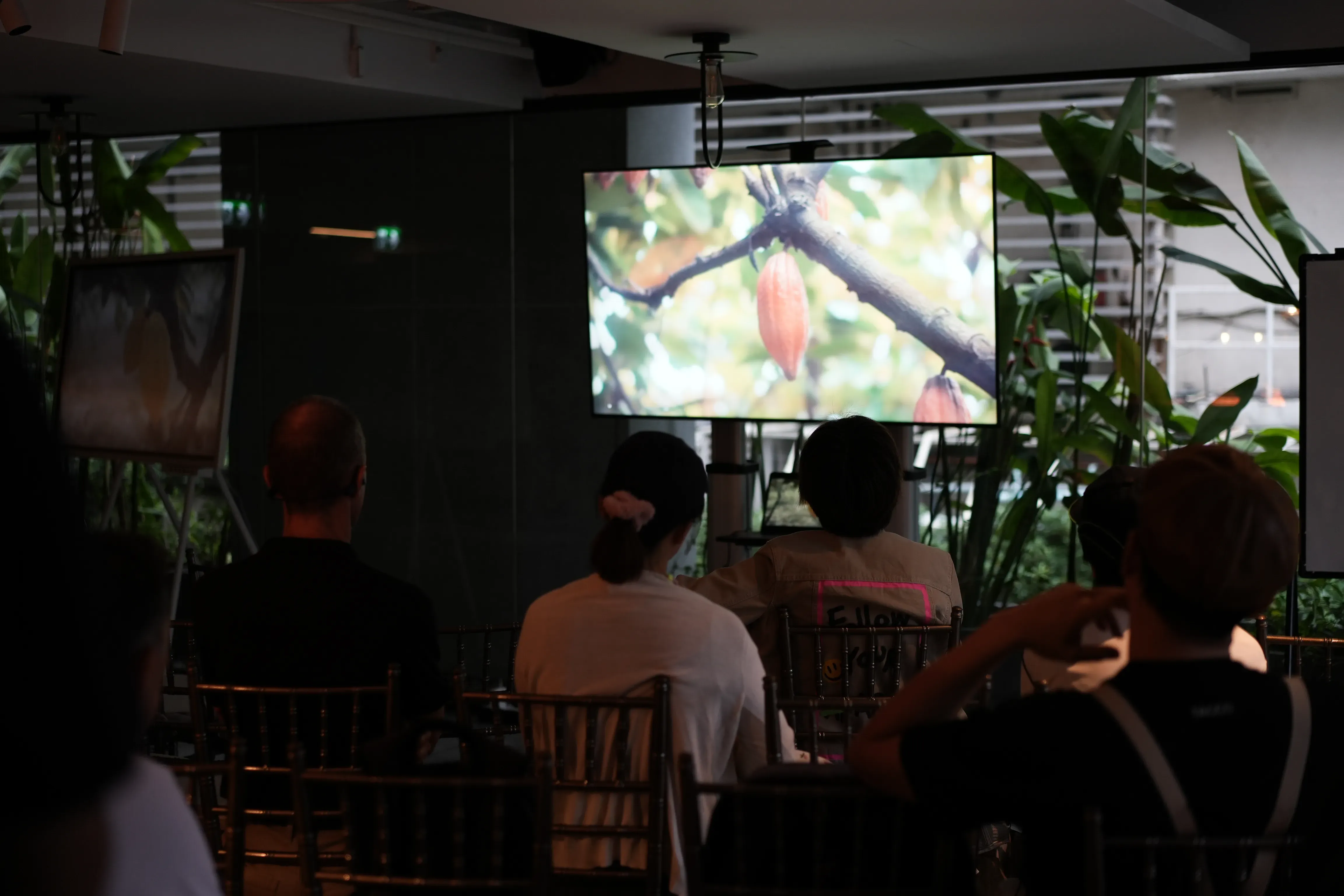 Chocolate pods are projected onto a screen for a small audience