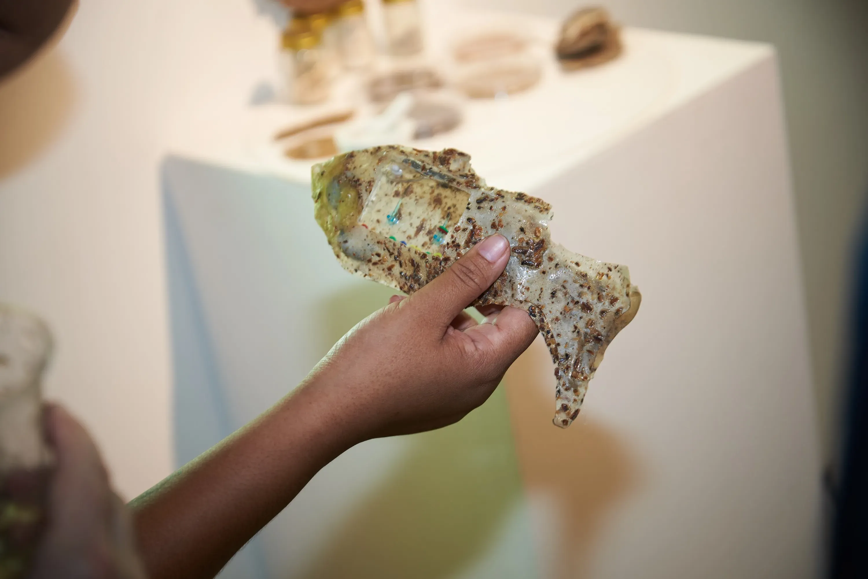 Art and journalism joined forces for the “I Miss You … Pla Tu” campaign in Thailand. The campaign was inspired by the Pulitzer Center-supported project Thailand’s Favorite Fish Is Vanishing; Our Appetite Is To Blame  Image by Jetsada Leelanuwatkul. 2025.