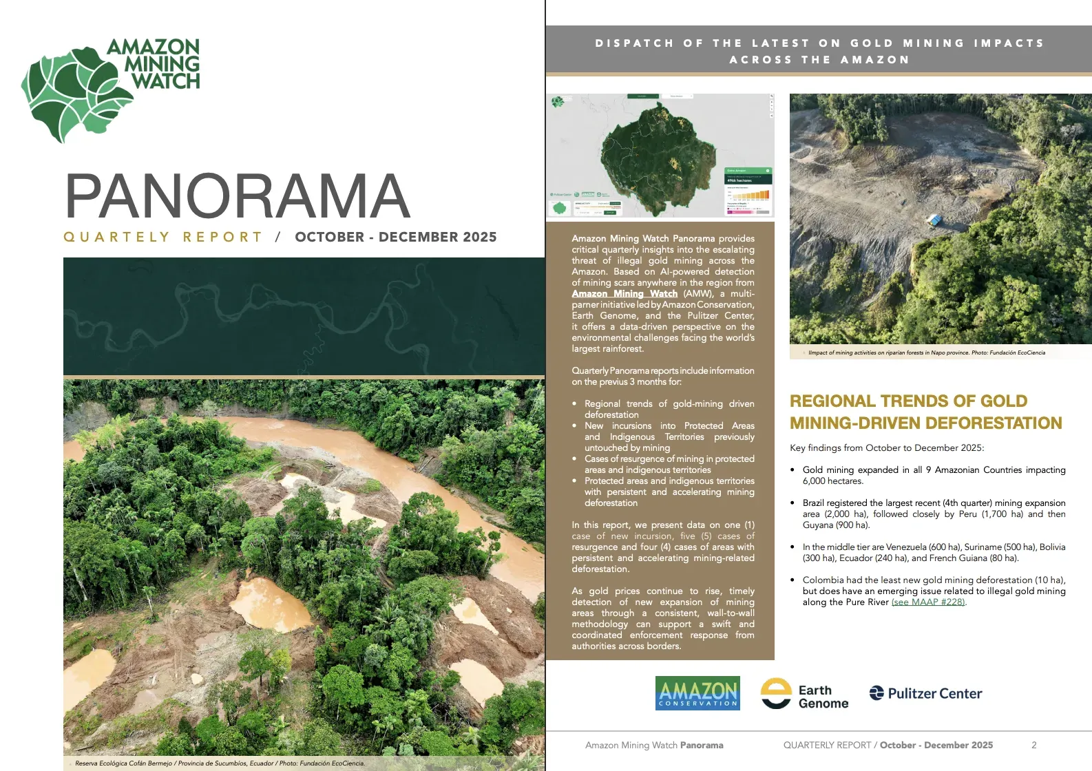Screenshot of the first issue of the Panorama report.