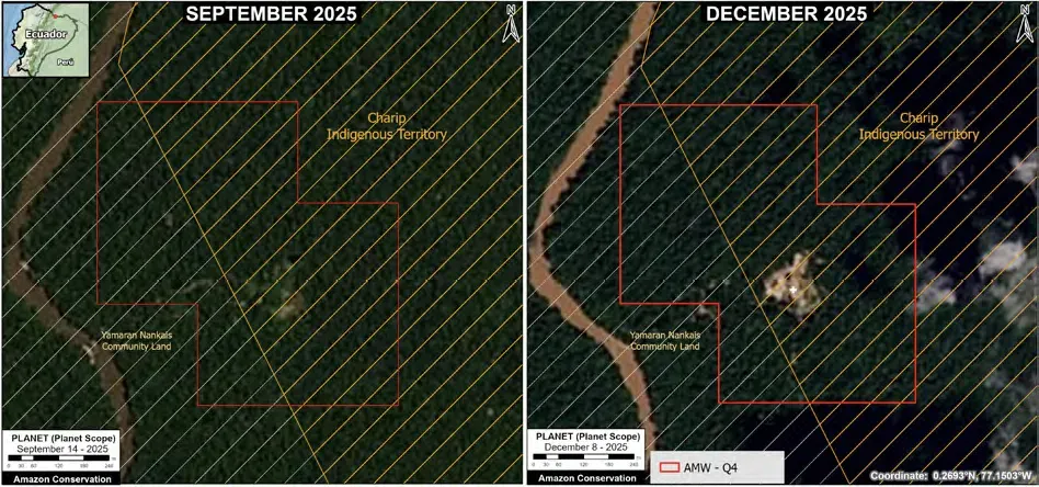 The high resolution Planet Scope Images (3 m), shows the before (left) and after (right) of the new mining incursion in Territorio Charip. Image by Amazon Conservation, © 2025 Planet Labs.