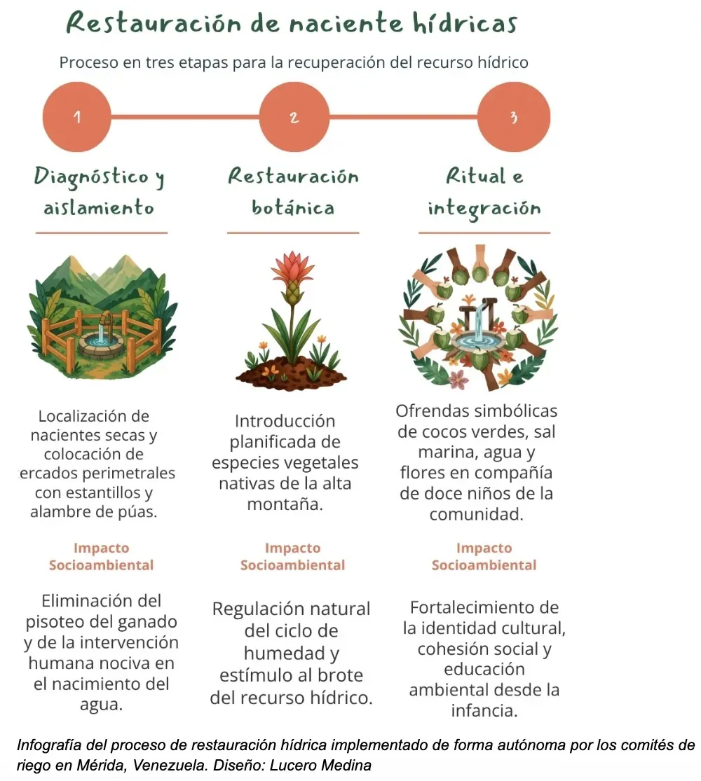 Ligia graphic