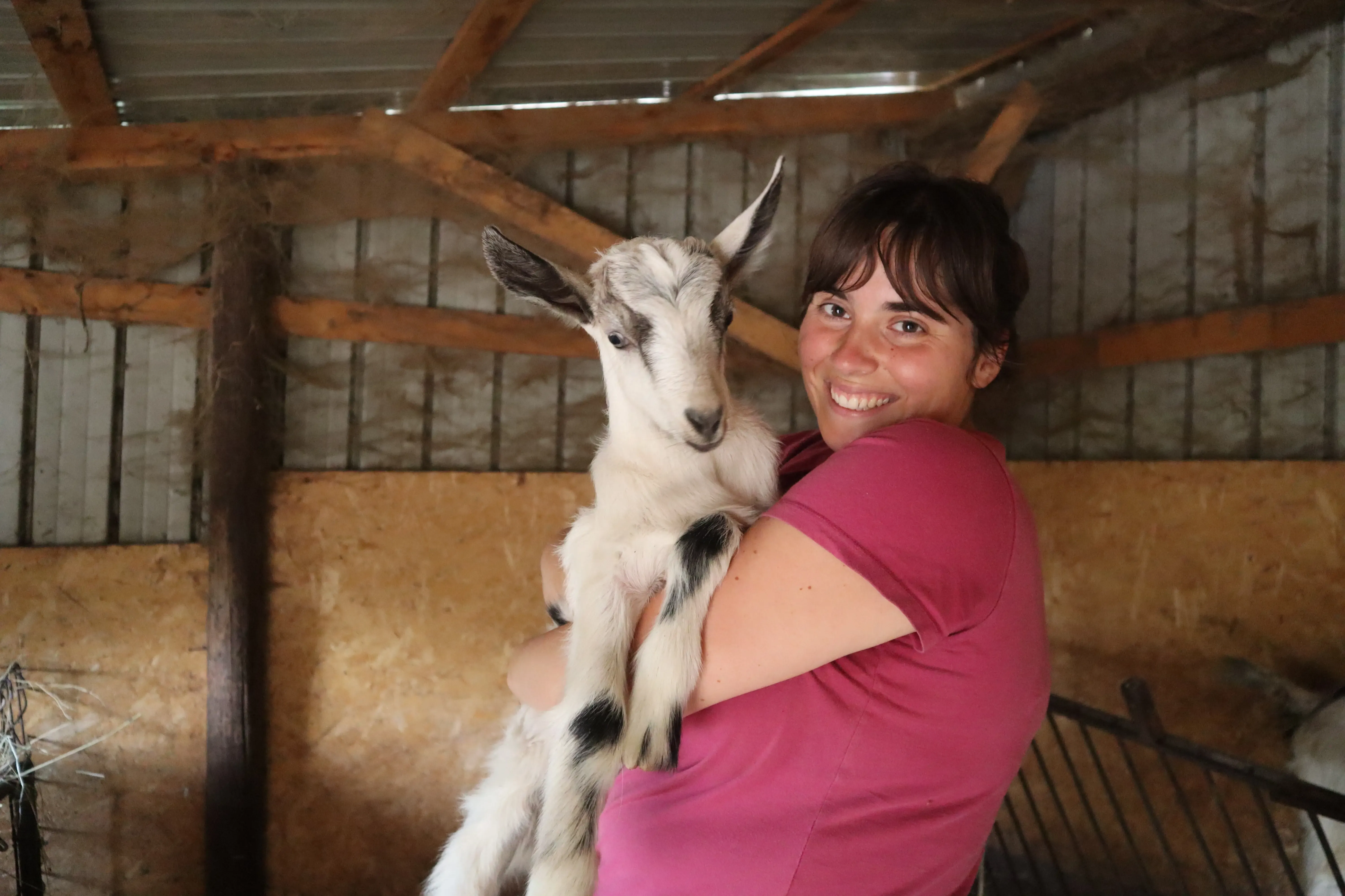 A woman holds a goat up