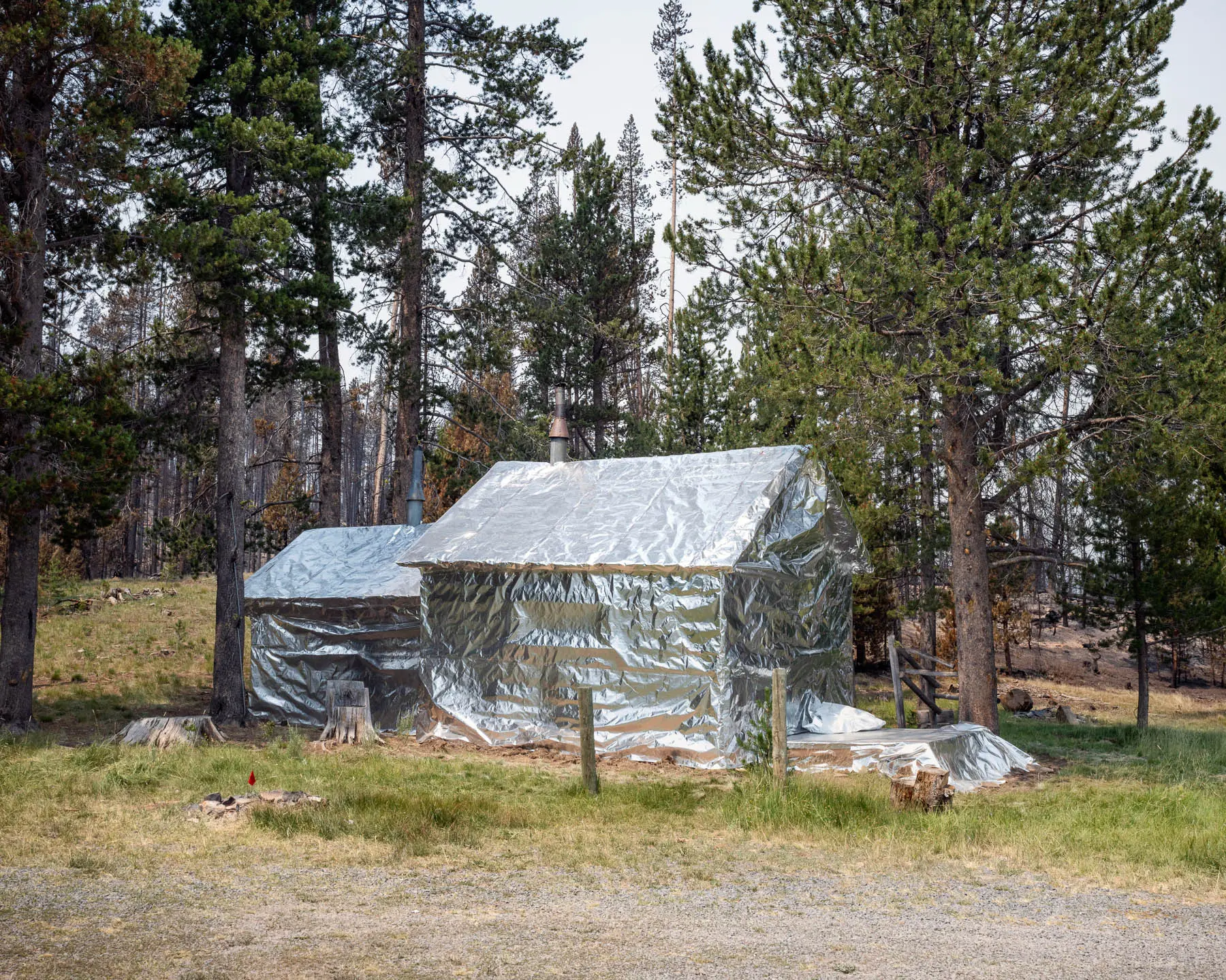 A house in forest