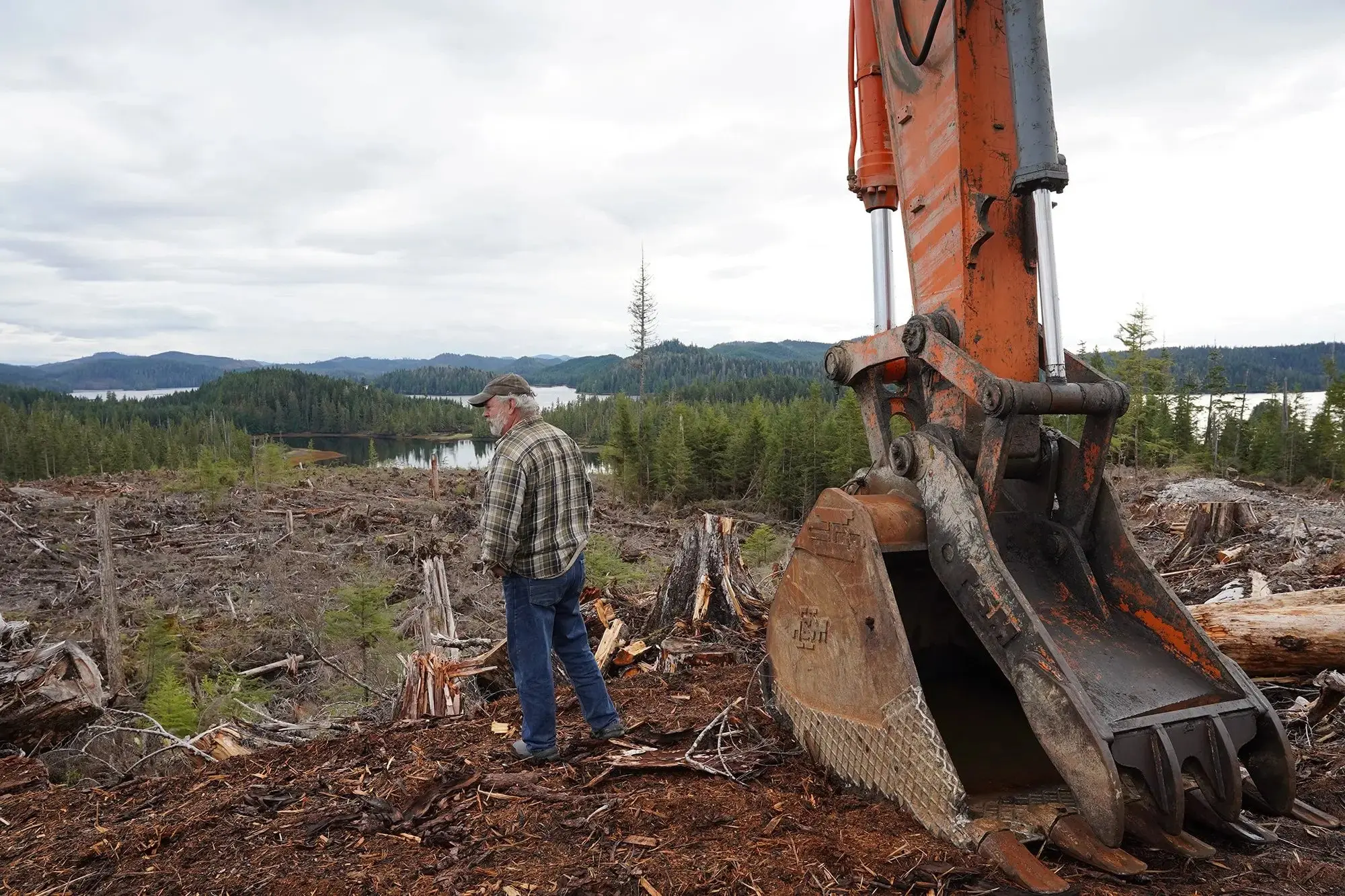 A man looks on as construction machines clear a forested area in Alaska.