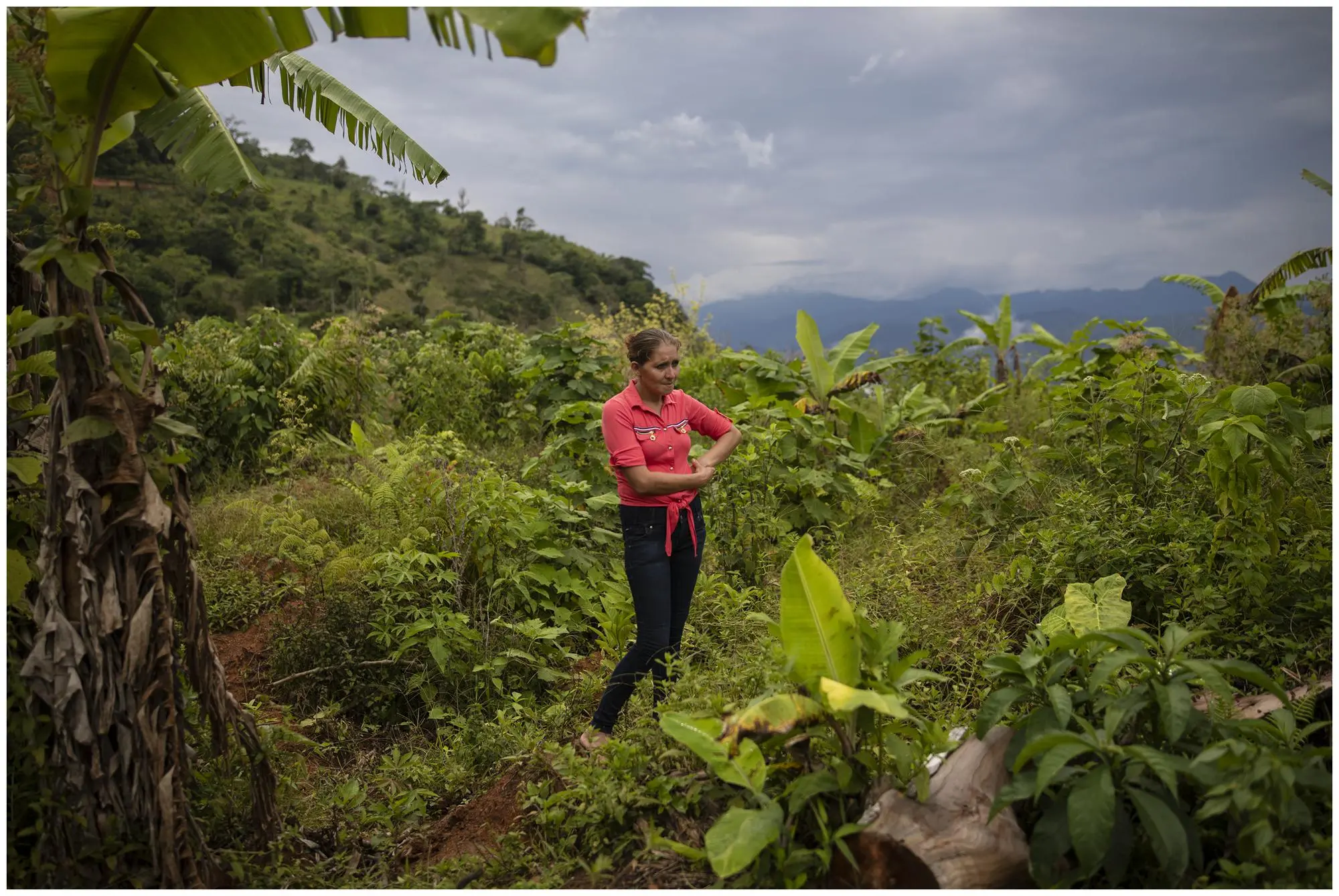 A woman stands in forest where her house used to stand