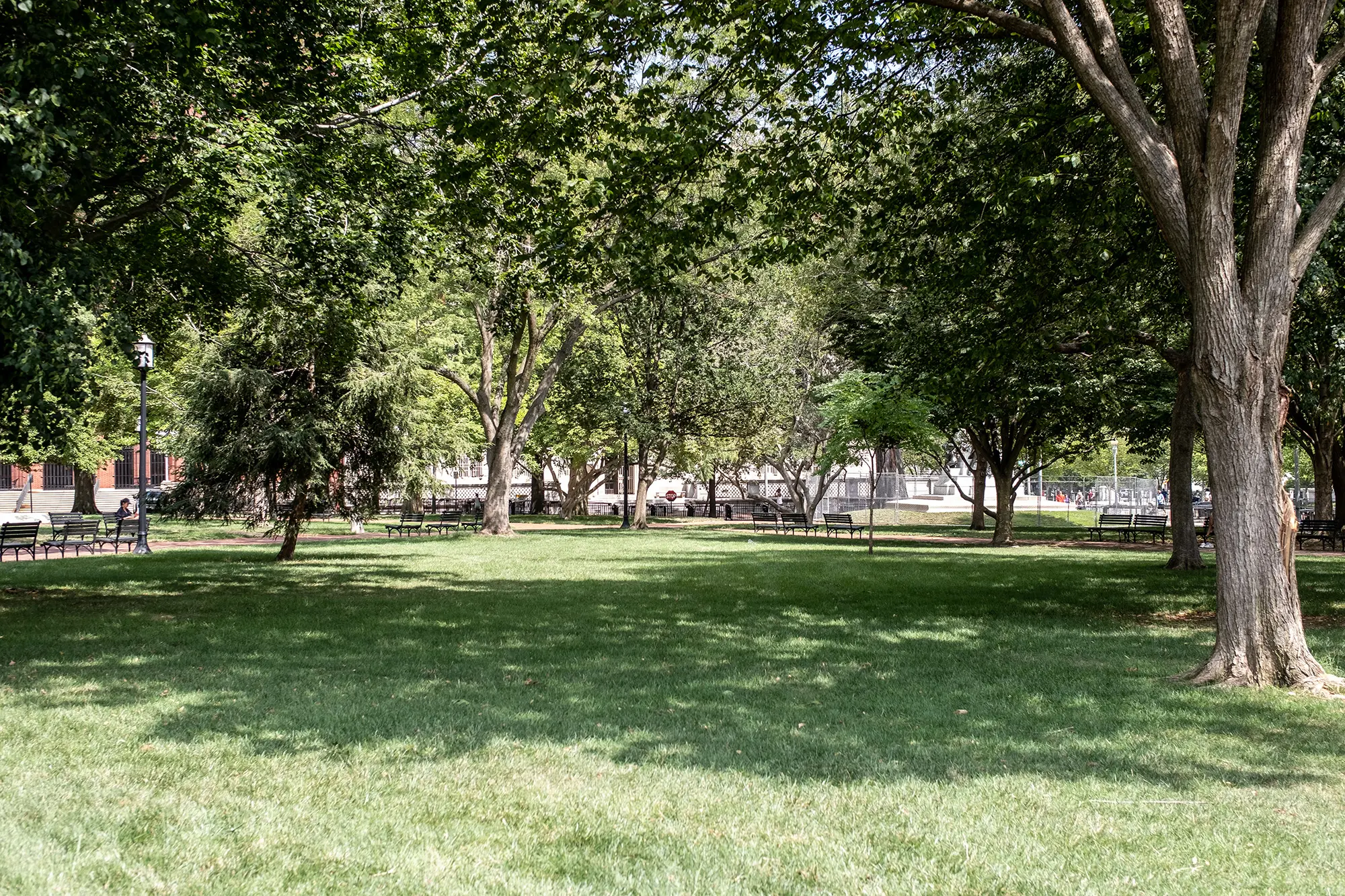 A park with trees and benches.