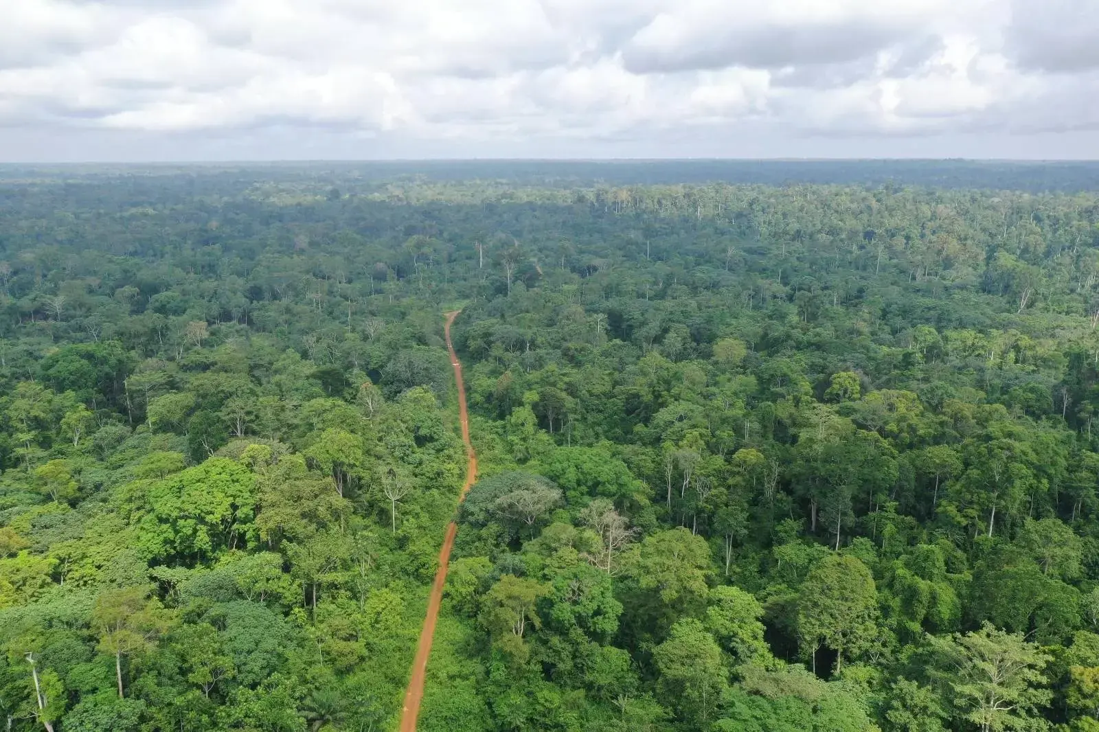 An aerial shot of a road in the middle of the Cameroonian rainforest.