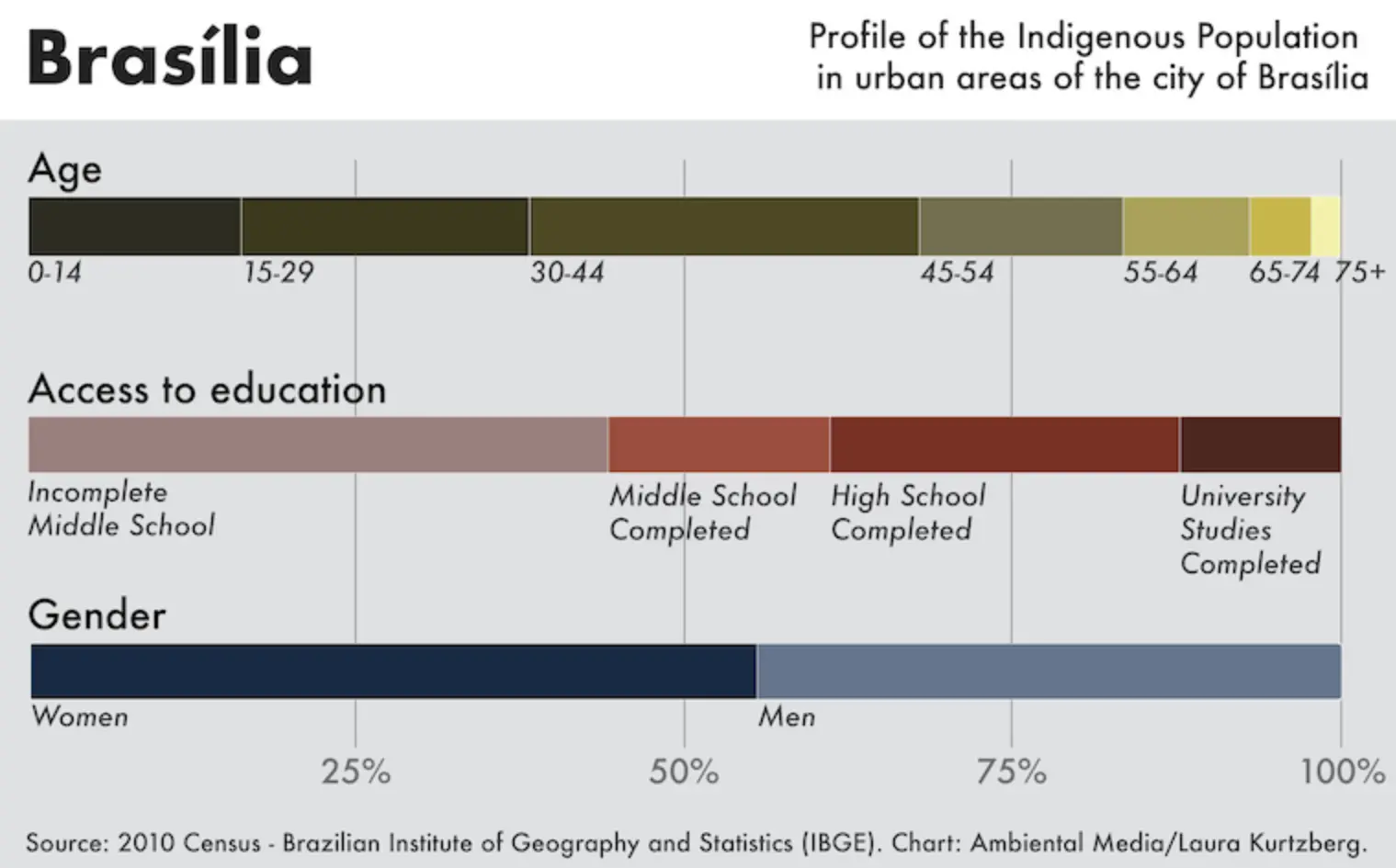 A graph showing the demographics of Brasília's Indigenous population, including age, access to education, and gender.