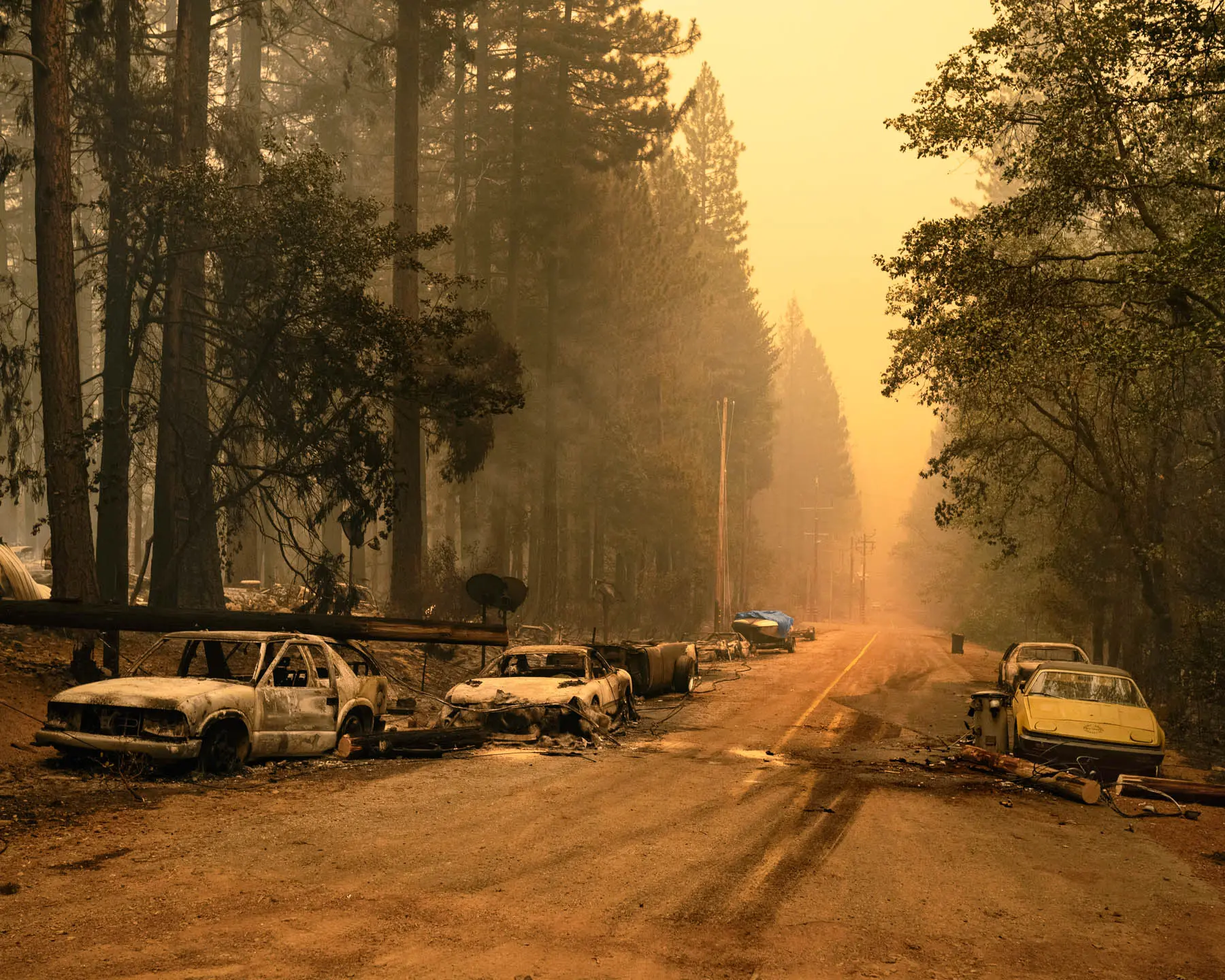 Fire remains in forest