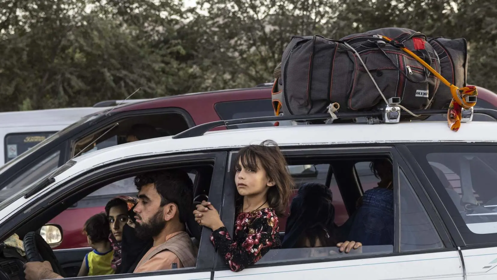 A young girl sticks her head out of a car window