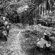 REST DAY. Sunday is a holiday for Asnia but Sunil works 7 days a week in the plantations. Image by Xyza Cruz Bacani. Indonesia, 2018.&nbsp;