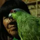 Karina's mother, Augustina, who dedicates her time to handcrafts and exploring medicinal plants, poses with her bird, Maruja.&nbsp;Image by Natalie Hutchison. Peru, 2017.