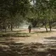 A Mexican soldier patrols an area near the banks of the Rio Grande in Matamoros, Tamaulipas. Image by Miguel Gutierrez Jr. Mexico, 2019.